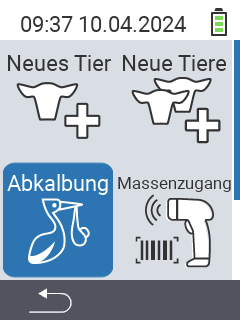 Abkalbung