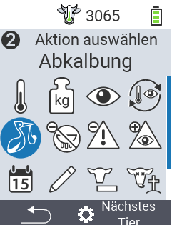 VitalControl: Menüfolge Aktionen Abkalbung