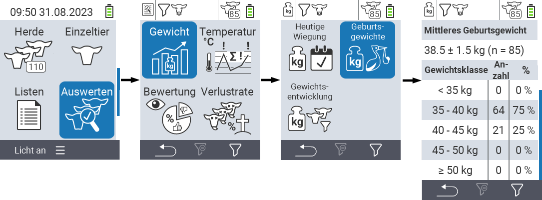 VitalControl: Menüfolge Auswertungen Geburtsgewichte