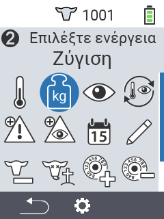 Ζύγιση