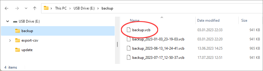 USB-flash drive with backup file VitalControl