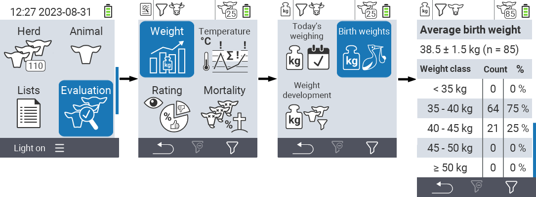 VitalControl: menu Evaluation Birth weights