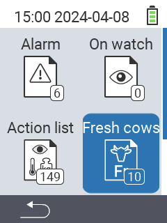 Fresh cows