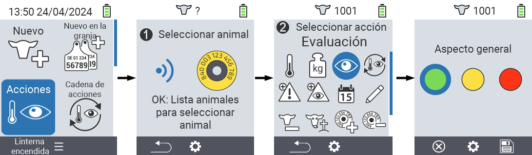 VitalControl: Acciones del Menú Calificación