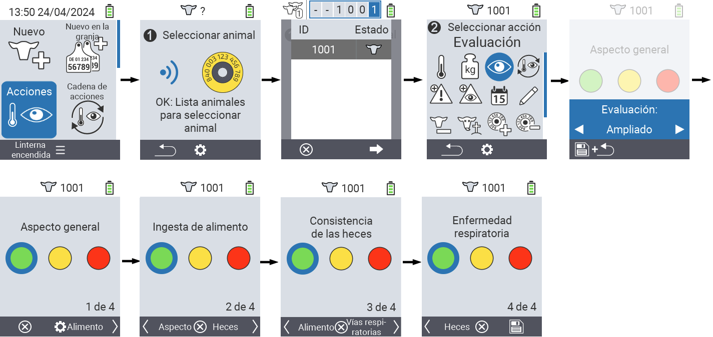VitalControl: Acciones del Menú Calificación