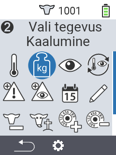 Kaalumine