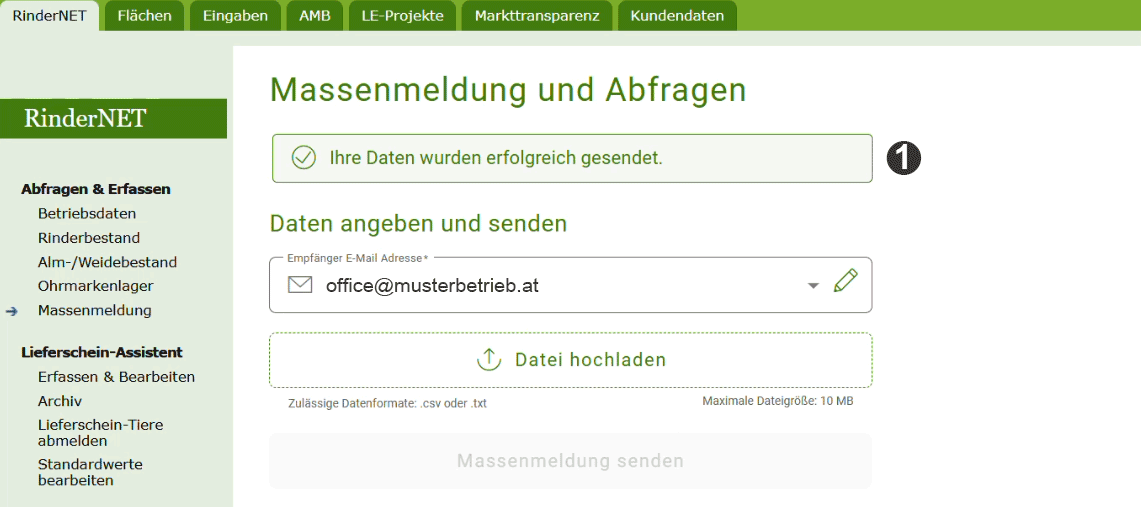 Erfolgreiche Sendung der Massenmeldung