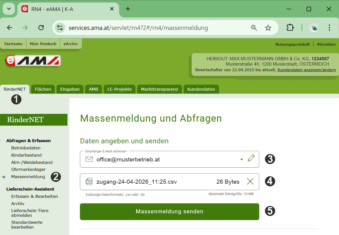Eingabemaske zur Massenmeldung