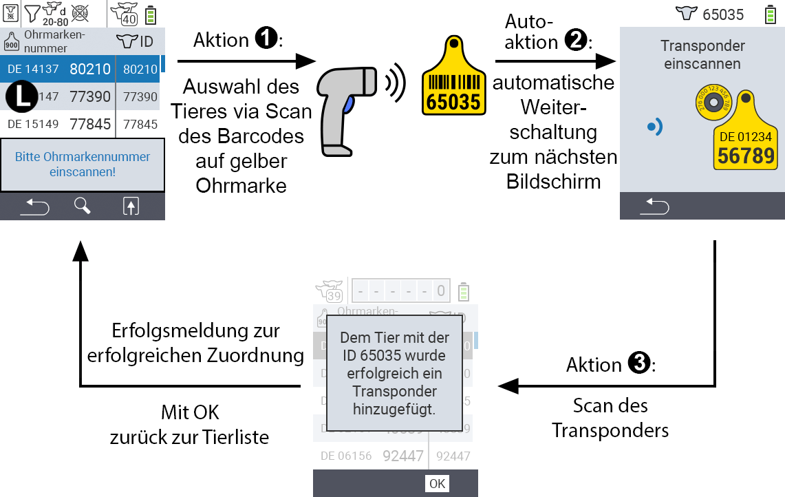 Ablauf der Verknüpfung von Transpondern, Barcodescan