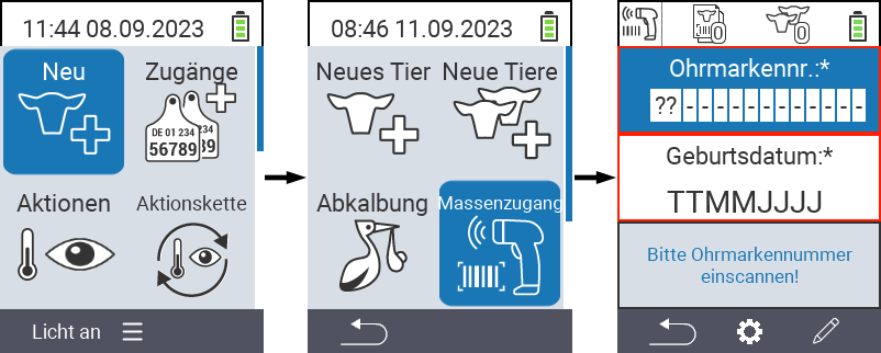 Aufruf Bildschirm Massenzugang