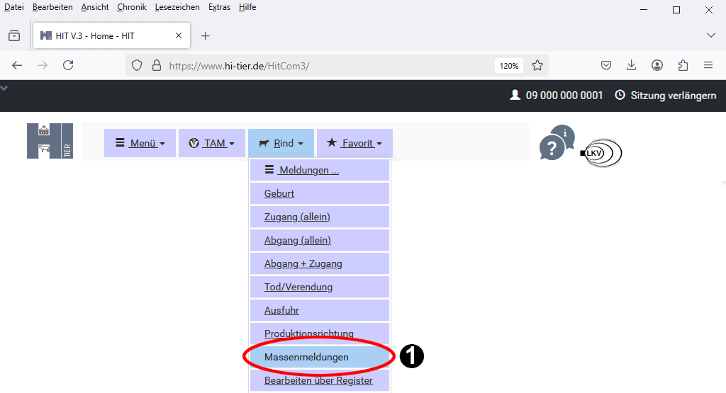 Bildschirmseite Massenmeldung V3