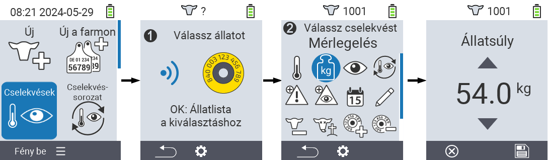 VitalControl: Menü Művelet Súlymérés