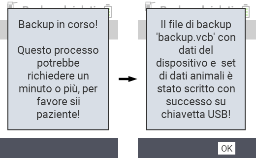 VitalControl: messaggio di successo backup