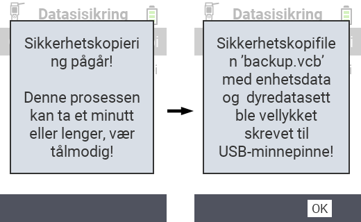 VitalControl: suksessmelding sikkerhetskopi
