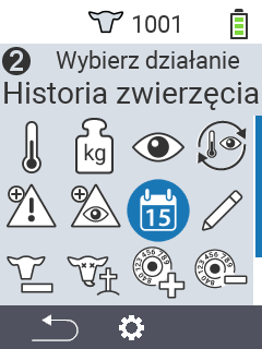 Animal´s history