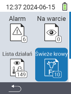 Świeże krowy