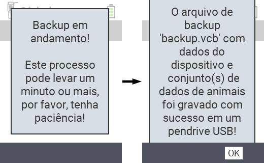 VitalControl: mensagem de sucesso do backup