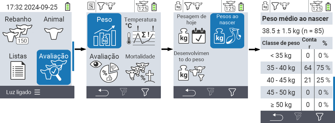 VitalControl: menu Avaliação Pesos ao nascimento