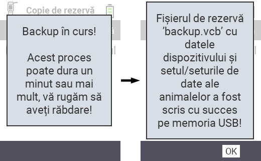 VitalControl: mesaj de succes backup