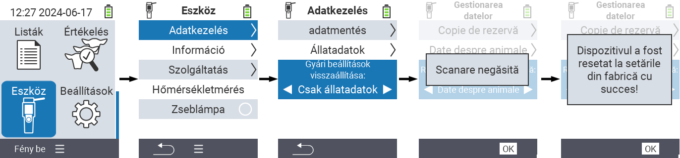 VitalControl: Calea meniului Resetare la setările din fabrică
