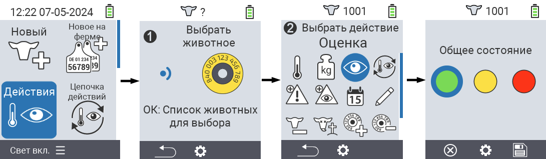 VitalControl: Действия меню Оценка