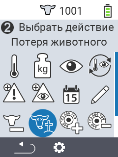 Потеря животного
