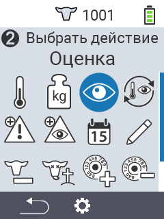 Оценка