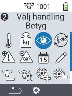 Betyg
