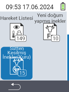 Kuru inekler